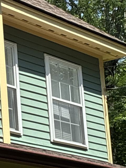 Painted windows and siding on a green house
